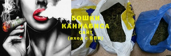 прущие грибы Беломорск