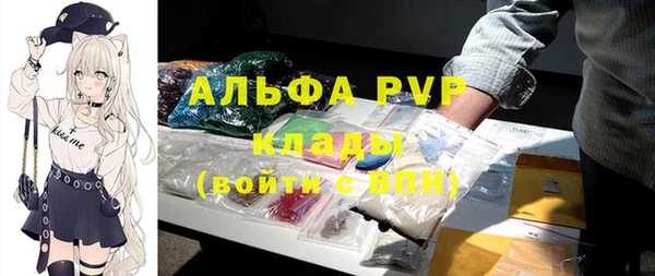 прущие грибы Беломорск