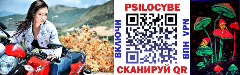 Галлюциногенные грибы Psilocybe что такое darknet наркотические препараты Белово
